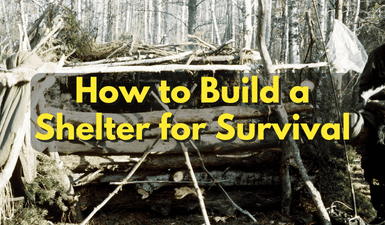 How to Build a Shelter for Survival